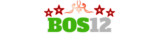 Logo Bos12